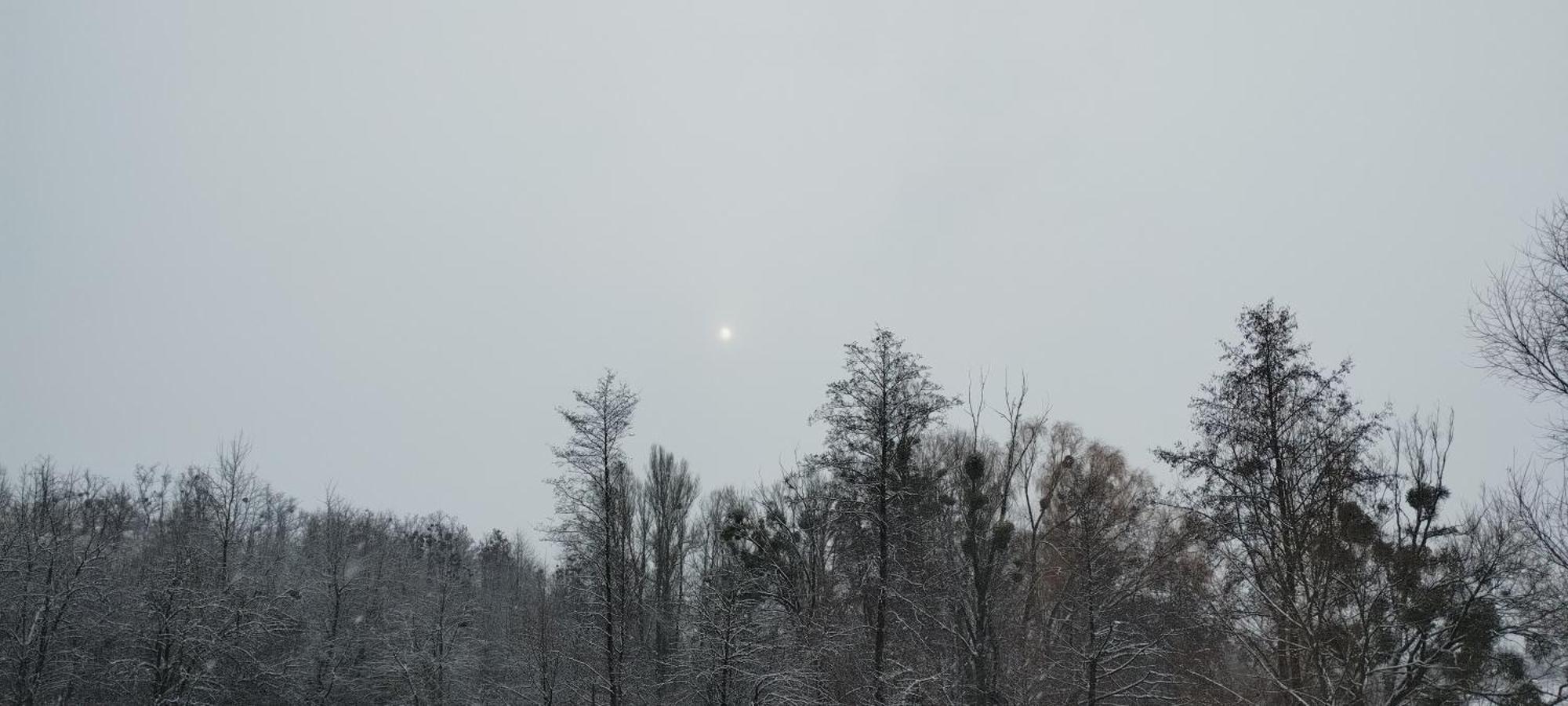 Шафран Hotel Krasnaya Slobodka ภายนอก รูปภาพ
